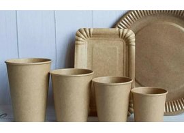 Пластифика: Революция в Одноразовой Посуде – Оптовые Поставки 